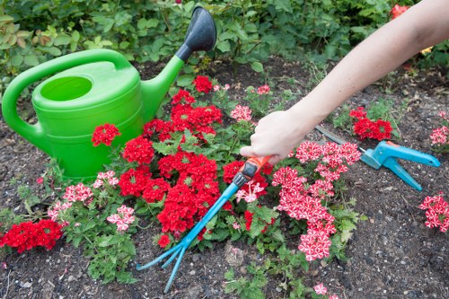 Front garden maintenance in Holborn terrace