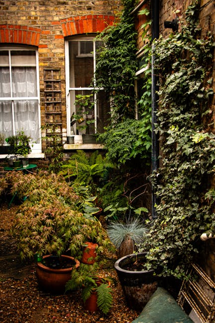 A cozy urban garden courtyard adjacent to a brick building, featuring lush green foliage and potted plants with textured leaves, including ferns and small shrubs. The garden has a mixture of vibrant a